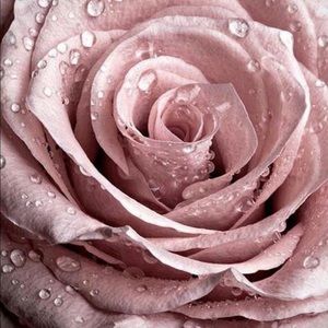 Meet your Posher, Veronica